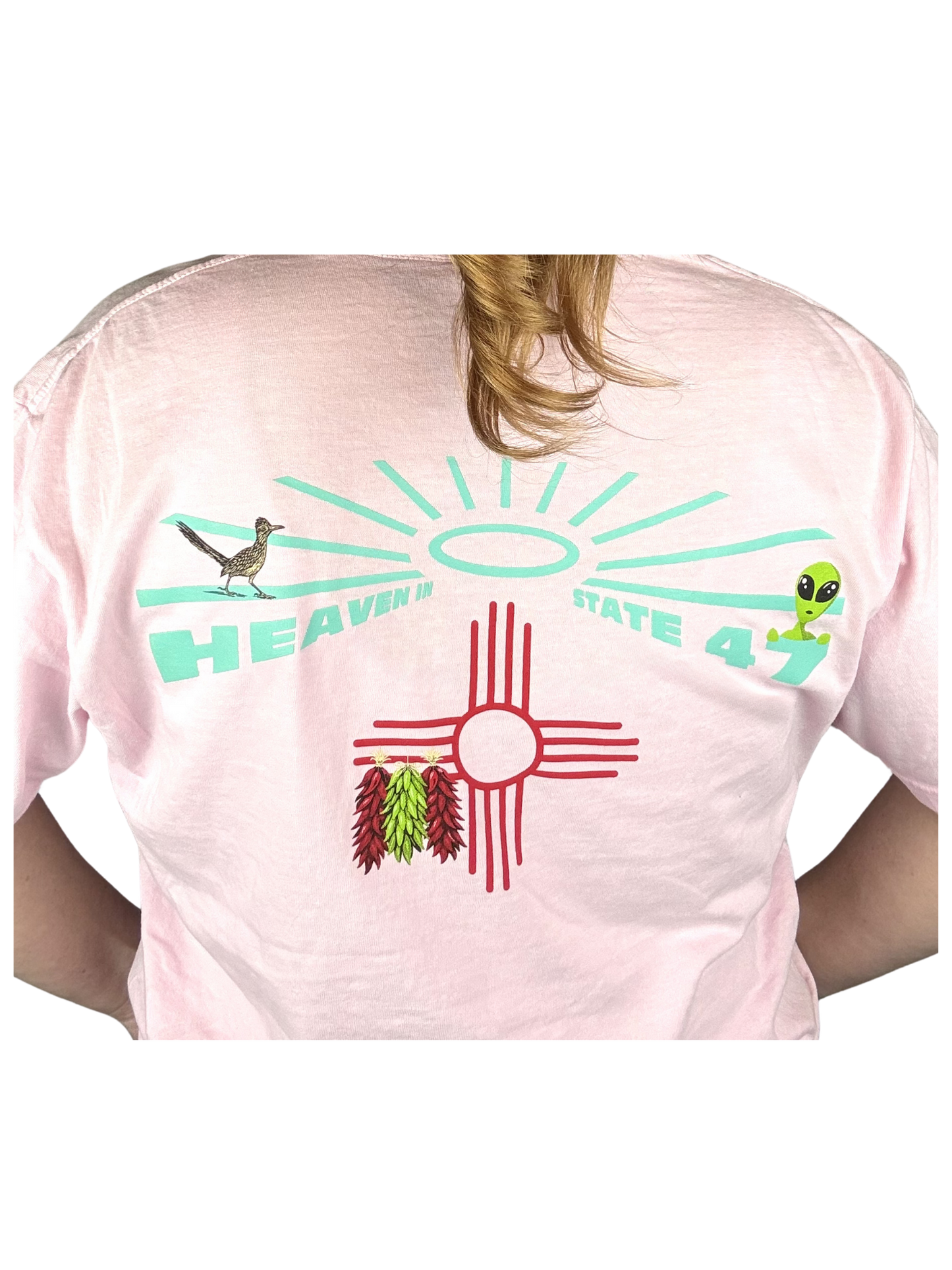 Unisex 100% Cotton Heavyweight Crew | Heaven in State 47 Alien Heat Run Edition | Light Pink